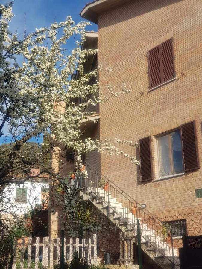 Palazzetto Del Pittore Сан-Куйрико-д'Орча Экстерьер фото