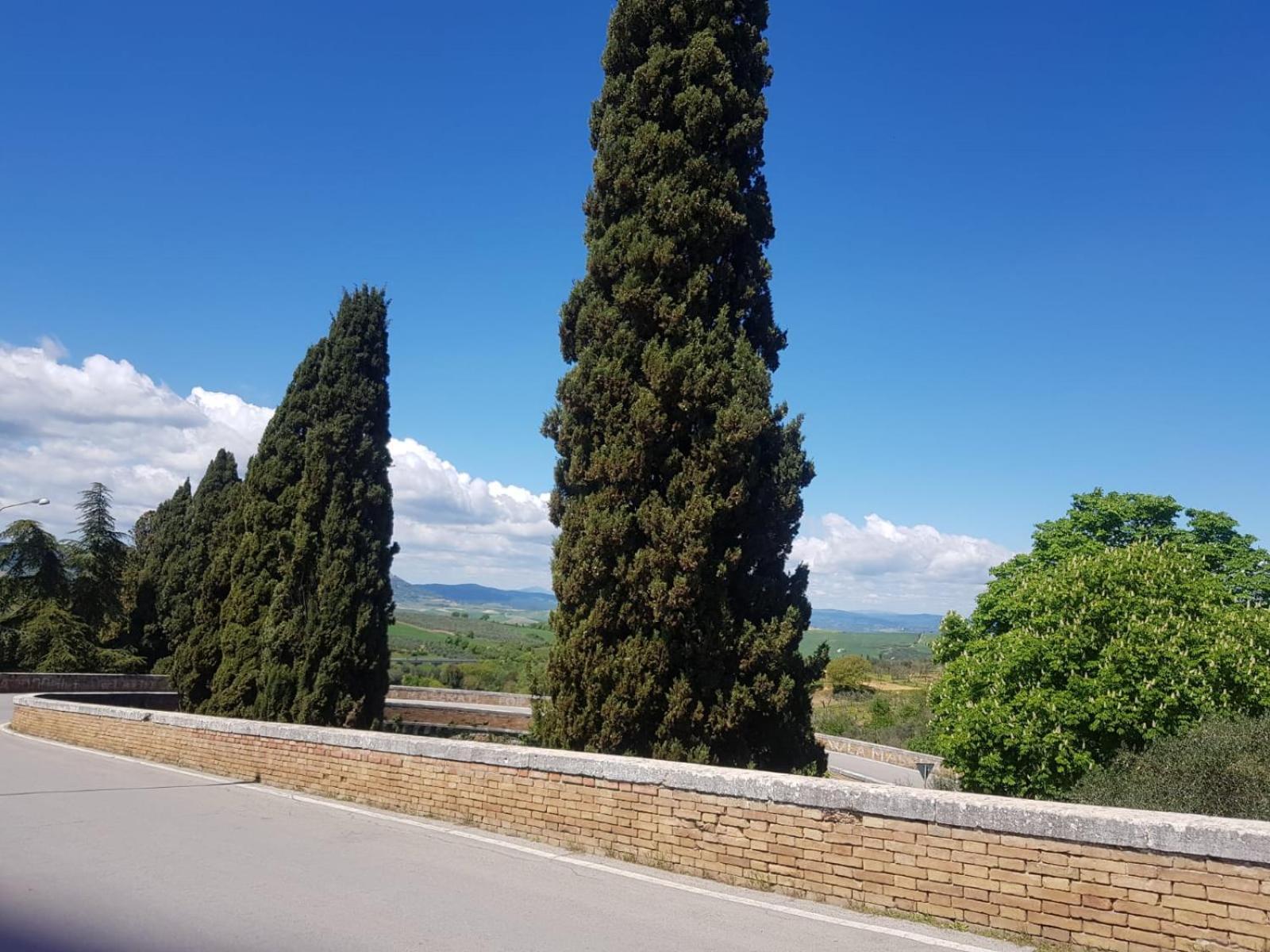 Palazzetto Del Pittore Сан-Куйрико-д'Орча Экстерьер фото